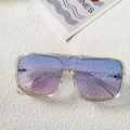 Classic oversized driving sunglasses with champagne frame and gradient purple lenses - Blue Pink