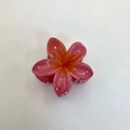 Plumeria hair claw clip with pink and orange gradient finish for resort styling - Frangipani Hair Clip / 6x5x3.8CM / Watermelon red