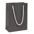 Minimalist black paper gift bag with premium silver thickened spiral texture rope handles - 119*55*160mm / Gray