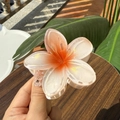 Detail of translucent frangipani hair claw clip with orange pink gradient and glitters - Plumeria Jelly Texture / Orange Yellow