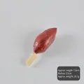Realistische PVC-sleutelhanger van geroosterde zoete aardappel met afmetingen van 7.6cm - Geroosterde zoete aardappel spies / Model (Geen sleutelhanger)