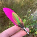 Men's vintage peacock feather brooch with pink and green accents and copper base - Pink Green Polka Dot (Style 6)