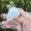 5cm hand-carved white opal crystal skull figurine held against green foliage - Opal