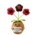 Handmade crochet potted plant with red flowers and a Thank You For Helping Me Grow card - Three-head Puff Flower Gradient Red
