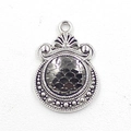 Macro view of a 12mm silver scale pendant with vintage bezel for DIY jewelry - Dark Scale (10)