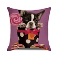 Detail of Halloween pillowcase featuring a cute French bulldog puppy in a purple gift box - Frenchie and Gift Box