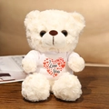 Crème teddybeer pluche in wit T-shirt met rood hart en de tekst I Love You - Witte beer T-shirt met meerdere harten / 20cm