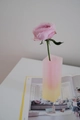 Pink and yellow gradient acrylic vase with a blooming rose on a magazine and white table - Frosted Pink & Yellow
