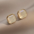 Octagonal gold-plated stud earrings with champagne-colored crushed stone inlay - Octagonal Champagne Texture Style (E0567)
