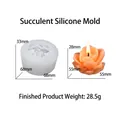 Siliconen mal voor vetplantkaars met afmetingen en afgewerkt product van was - Succulent Vorm Stijl D
