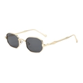 Octagonal polygon sunglasses with gold metal frame and dark grey protective lenses - Gold Frame Grey Lens