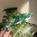 Detailed view of sea turtle green whale shark acetate hair claw clip held in hand - Green Shark