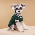 Gilet en tricot pour chien vert foncé style universitaire avec bords rayés - XS / Vert