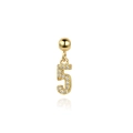 Macro shot of gold S925 sterling silver number 5 pendant charm with pave diamonds - Number 5