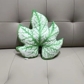 Detailweergave van een bladvormig pluchen kussen met realistische groene nerven erop - 45*35cm / Witte Bladbegonia