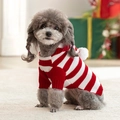 Close-up of red and white striped knit dog sweater with soft pom-pom detail and ribbed cuffs - M / Red Christmas Stripe Hooded