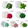 3D succulent silicone molds for DIY scented candles and gypsum crafts in various styles - Succulent Set 1