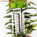 Set van 8 witte glitter ijspegel hangers voor de kerstboom decoratie - Set van 8 / Glitter Wit Pak