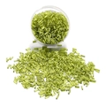 Green cylindrical Czech glass tube beads in a transparent storage container - 400pcs/15g / Emerald Green