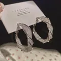 Elegant 925 silver needle hoop earrings with twisted double-layer mesh rhinestone inlay - E5298 Silver Twisted Rope Hoop