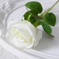 Single white artificial velvet rose with green leaves on elegant ceramic tray - 7cm / White (Silk Cloth)