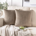 Set of 2 brown velvet square throw pillow covers on a beige sofa with home decor - 11# Light Brown / 30*50cm Pillowcase (without Insert)