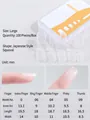 Size chart for ultra-thin almond false nails with detailed millimeter measurements - Japanese Square Oval (Size L)