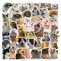 50 lustige Cartoon-Katzenaufkleber Set für Laptops und Koffer Dekoration - GT216 Lustige Katze - Bestseller