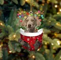 Weimaraner Hund Weihnachtsanhänger in rotem Strumpf mit Rentiergeweih und Lichtern - Weimaraner