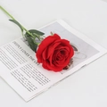 Artificial red velvet rose with green leaves placed on a vintage English book - Large Velvet Red