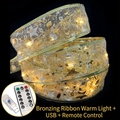 Golden LED ribbon light with warm white glow, USB power and 8-mode remote control - Gold Bronzing (Warm LED + USB + Remote) / 10m