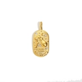 18K gold-plated stainless steel oval Aquarius pendant with embossed design and crystals - Aquarius