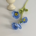 Ice Blue
