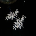 Gros plan de boucles d'oreilles feux d'artifice en argent avec zircons étincelants - Argent (Tige en argent)