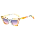 Cat eye sunglasses with multicolor gradient frame and wavy lace edges in purple pink - Colorful Frame Gray Pink Lens