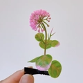 Whimsical handmade pink flower hair clip with green leaves on a black duckbill clip - Pink Ball Flower