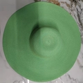 Simple Style Apple Green