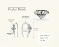 Elegant 925 sterling silver drop earrings featuring triple D-color VVS1 moissanite stones - 0.72ct Pair (4mm+2mm) / White Zirconia (Silver)