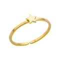 Adjustable gold plated stainless steel ring with a solid pentagram star element - Pentagram