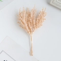 Artificial light beige miscanthus bundle for DIY floral arrangements and home decor - Orange