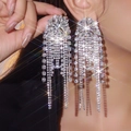 Elegant silver long tassel fringe earrings with full rhinestone inlay on model - Full Rhinestone Tassel (DTE1916140S-W) / Silver