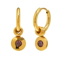 Minimalist 18K gold plated hoop earrings featuring a round purple birthstone pendant - January - Garnet Red