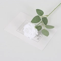 Single realistic white velvet artificial rose with green leaves on minimalist card - Silk Pure White