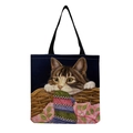 Gatto soriano in un cesto di vimini (hm2880)