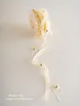 Nastro in chiffon bianco crema da 5m con perle dorate per decorazioni natalizie - Nastro di Natale N (Nastro Bianco con Perla Dorata)