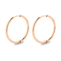 Minimalist round hoop earrings in rose gold finish made of durable stainless steel - 2.0*20mm / Rose Gold