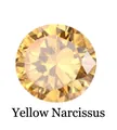 US 5 (49mm) / Rose Gold November Jonquil
