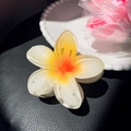 Frangipani flower hair claw clip with white and orange gradient resin petals - 8cm / White 8cm