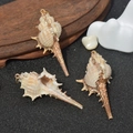 Three natural seashell charms with gold plated edges for DIY jewelry making - No.40 (Cream Conch - Gilded/Copper)