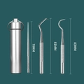 Portable 304 stainless steel toothpick set with silver metal storage case and hooks - 4-Piece Thick Pick Set